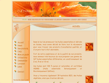 Tablet Screenshot of clenama.com